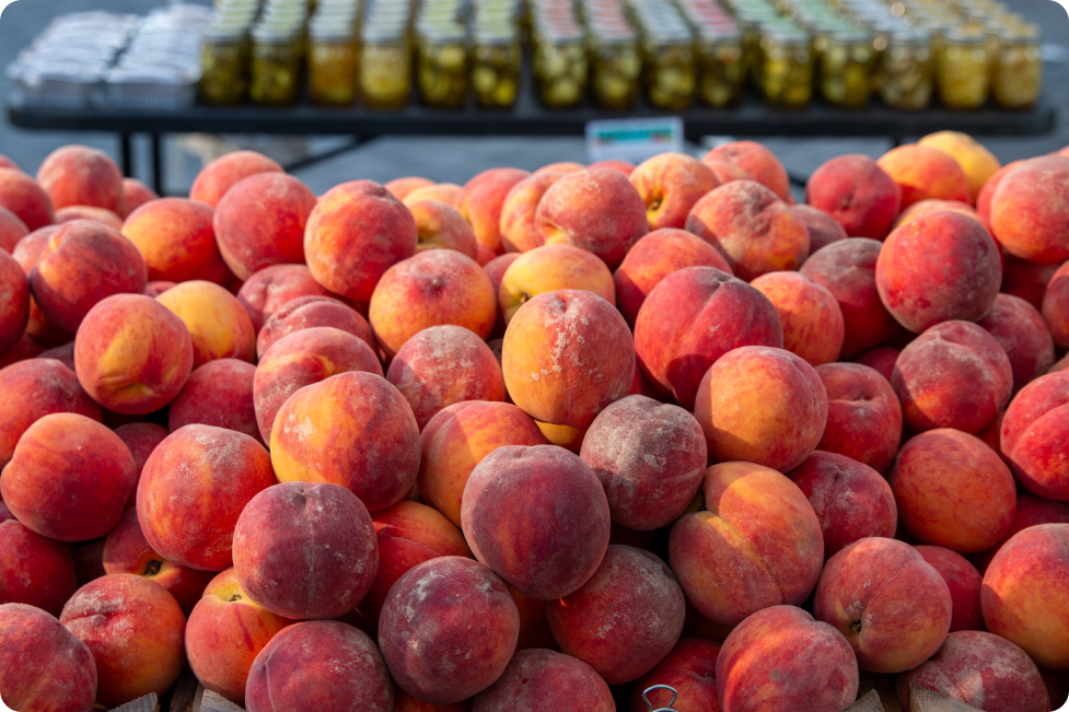 Dweck Properties Farmer's Markets