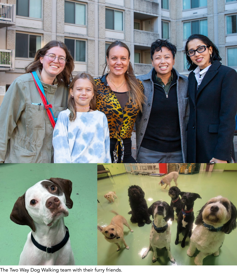 Two Way Pet Services at Crystal Towers