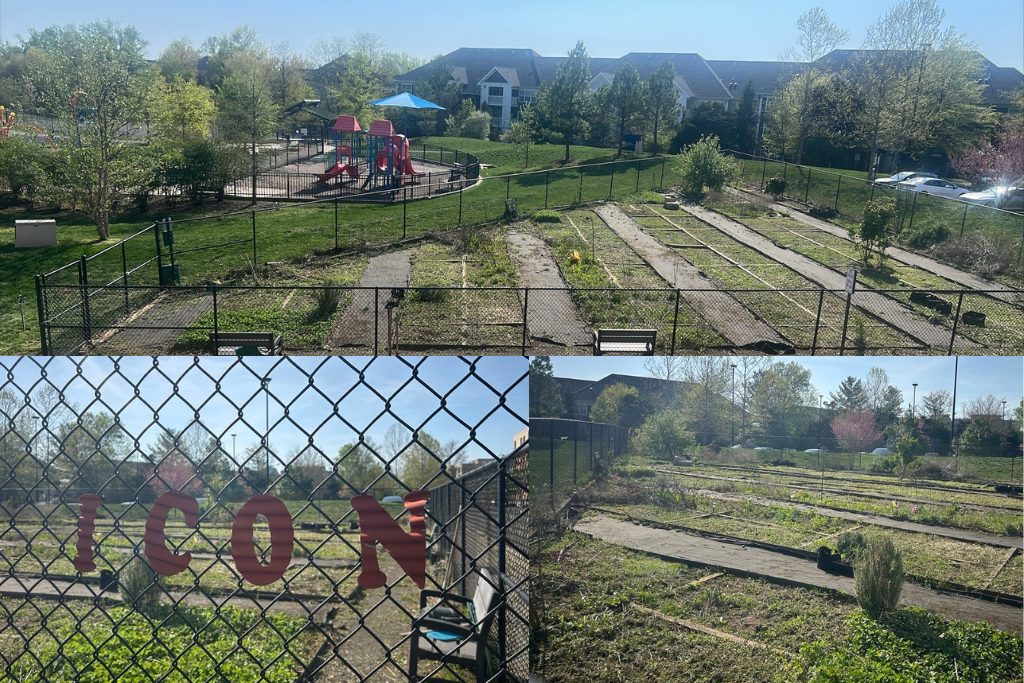 Earth Day 2025 at Dweck Properties
